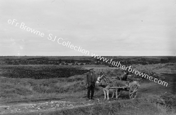 ON THE BOG OF ALLEN:THE TURF HARVEST